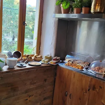 巴拉克努住宿加早餐酒店 维琪奥港