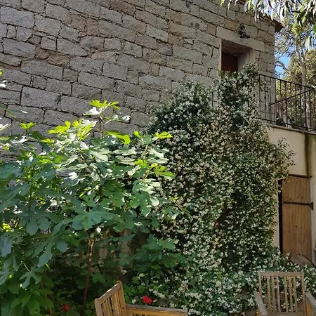 Bed & Breakfast D'hotes Barraconu Porto-Vecchio (Corsica)