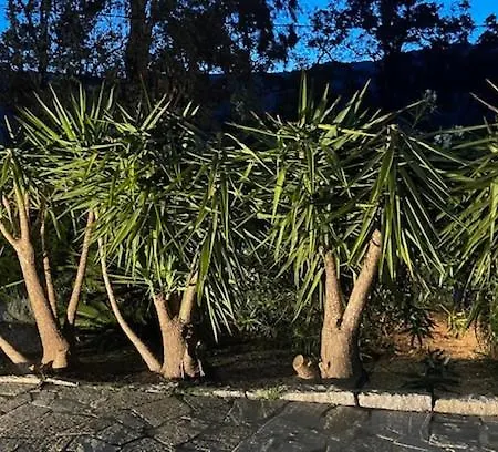 Panzió D'hotes Barraconu Porto-Vecchio