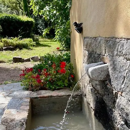 巴拉克努住宿加早餐酒店 维琪奥港