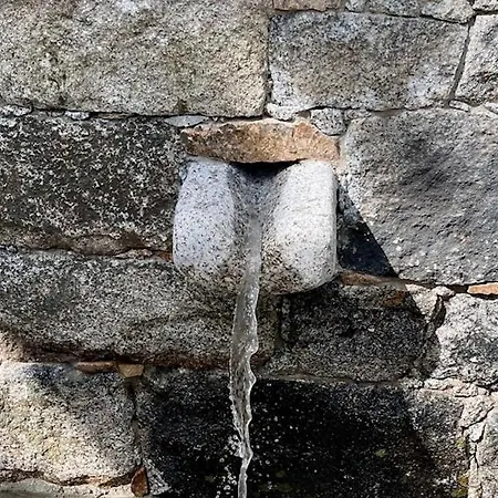 巴拉克努住宿加早餐酒店 4*