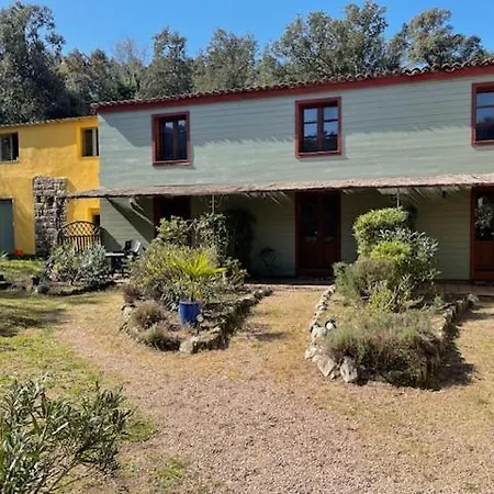 巴拉克努住宿加早餐酒店 4*