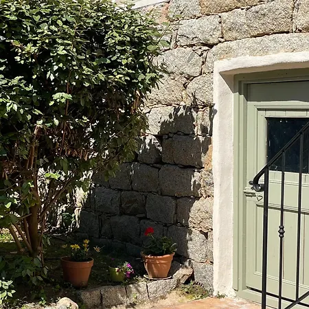 巴拉克努住宿加早餐酒店 4*