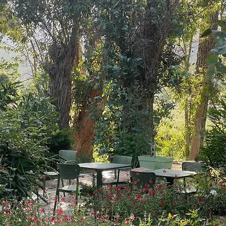 巴拉克努住宿加早餐酒店 住宿加早餐酒店