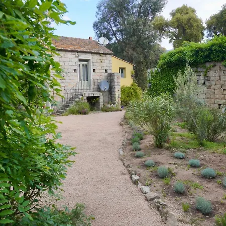 Frühstückspension D'hotes Barraconu Porto-Vecchio (Corsica)