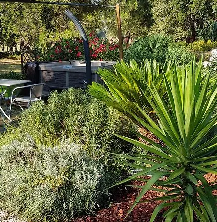 巴拉克努住宿加早餐酒店 4* 维琪奥港