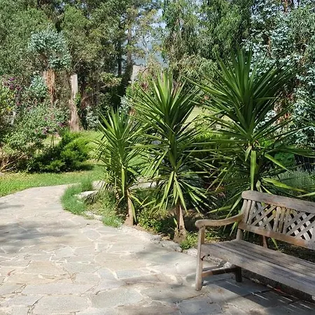 住宿加早餐酒店 巴拉克努住宿加早餐酒店 4*