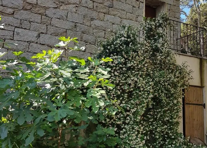 Bed & Breakfast D'hotes Barraconu Porto-Vecchio (Corsica)