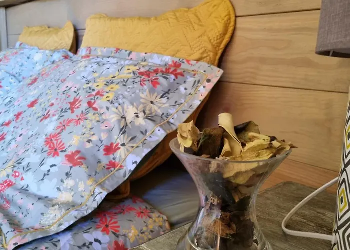 D'hotes Barraconu Bed & Breakfast