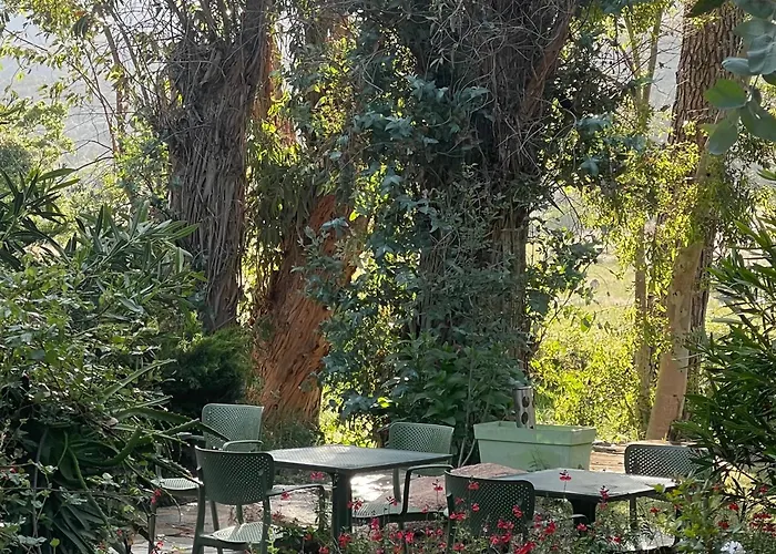 D'hotes Barraconu B&B